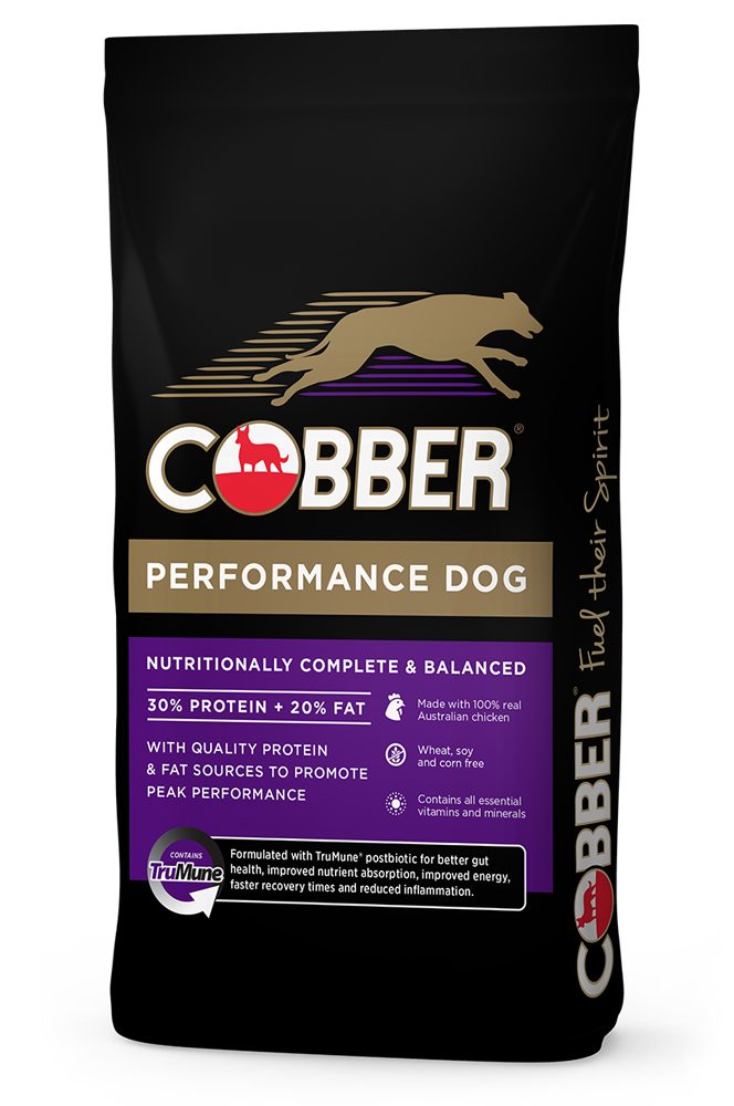 Cobber Performance Dog 20Kg (36) Cobber