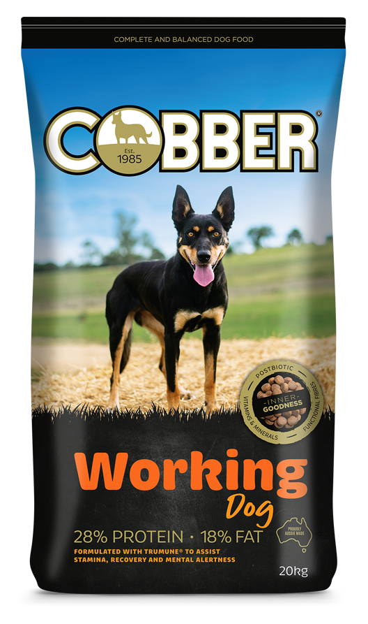 Cobber Workdog 20Kg (36) Cobber
