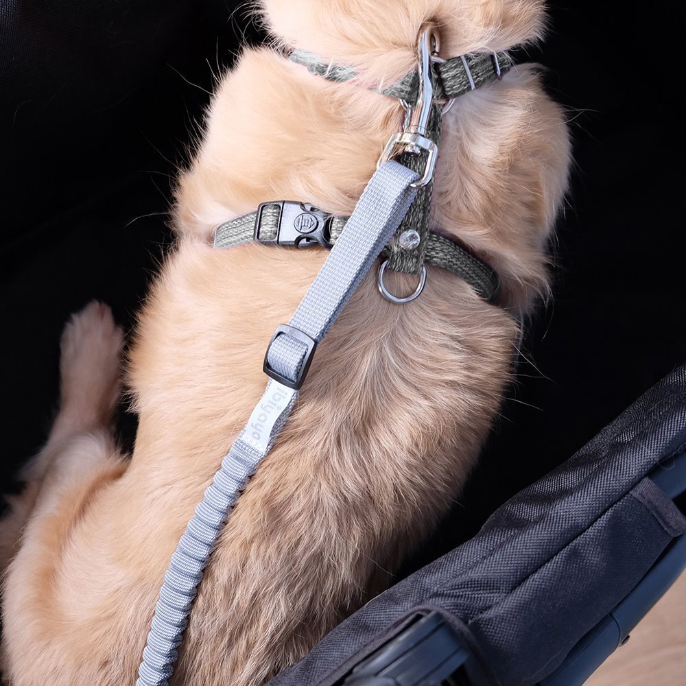 Ibiyaya No Shock Bungee Leash Extension/ Stroller Tether - Grey Ibiyaya