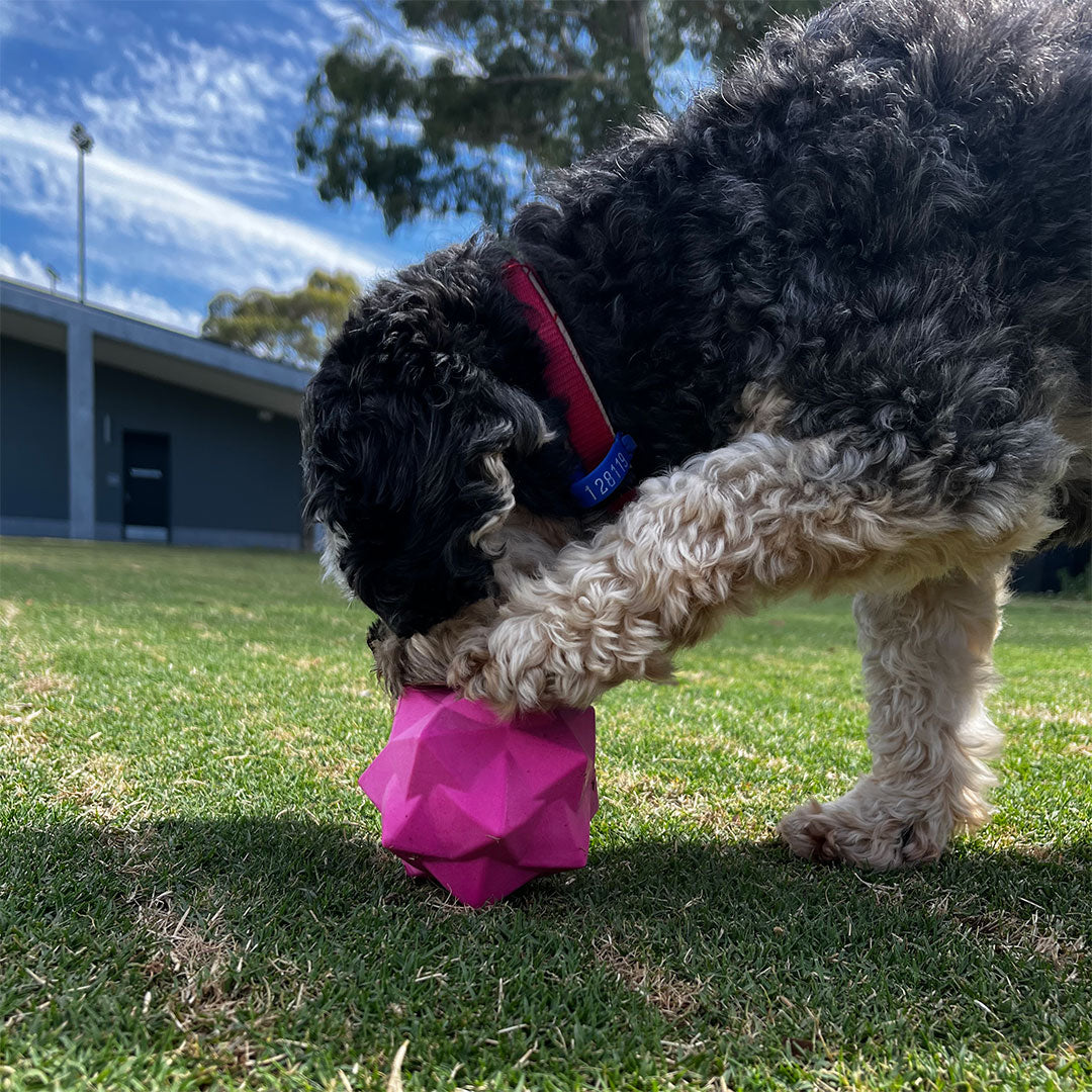 Aussie Dog Pink Monster Treat Ball â€“ Durable Interactive Fetch Toy