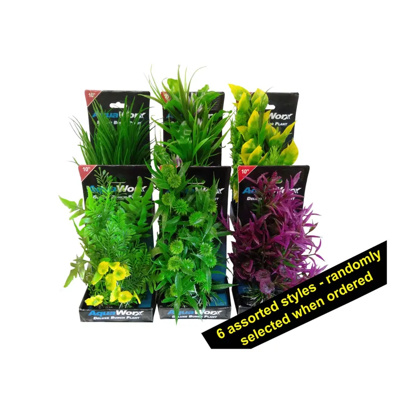 Boyu Deluxe Bunch Plant 10 Inch Boyu