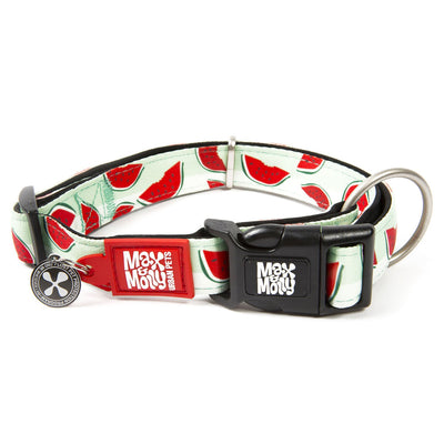 Max & Molly Smart ID Dog Collar - Watermelon - Medium Max & Molly