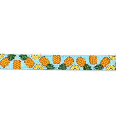Max & Molly Smart ID Cat Collar - Sweet Pineapple Max & Molly