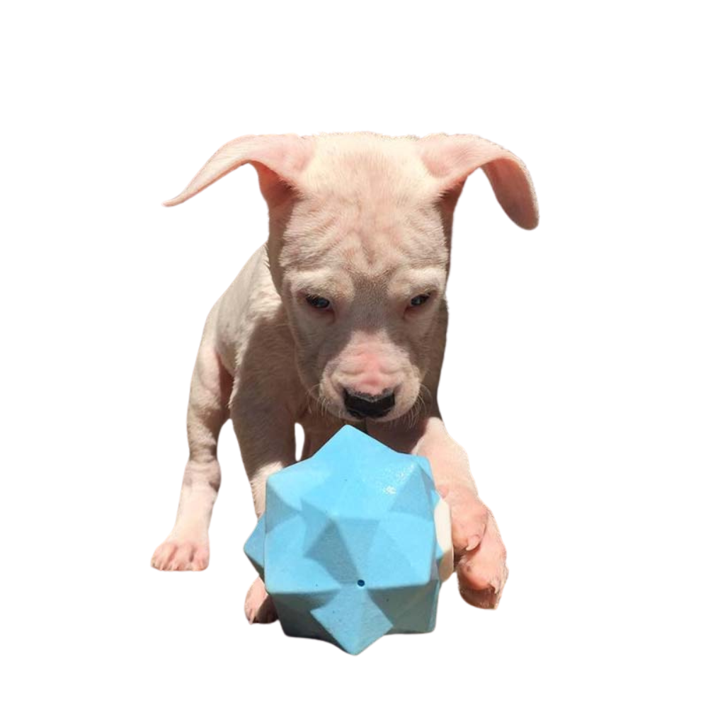 Blue Monster Treat Ball â€“ Durable Interactive Dog Toy