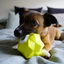 Green Monster Treat Ball â€“ Interactive Glow-In-Dark Dog Toy