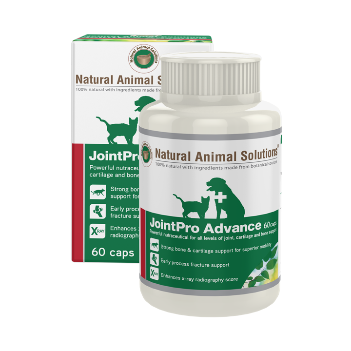 Natural Animal Solutions JointPro Advance for Cats & Dogs 60 capsules Natural Animal Solutions
