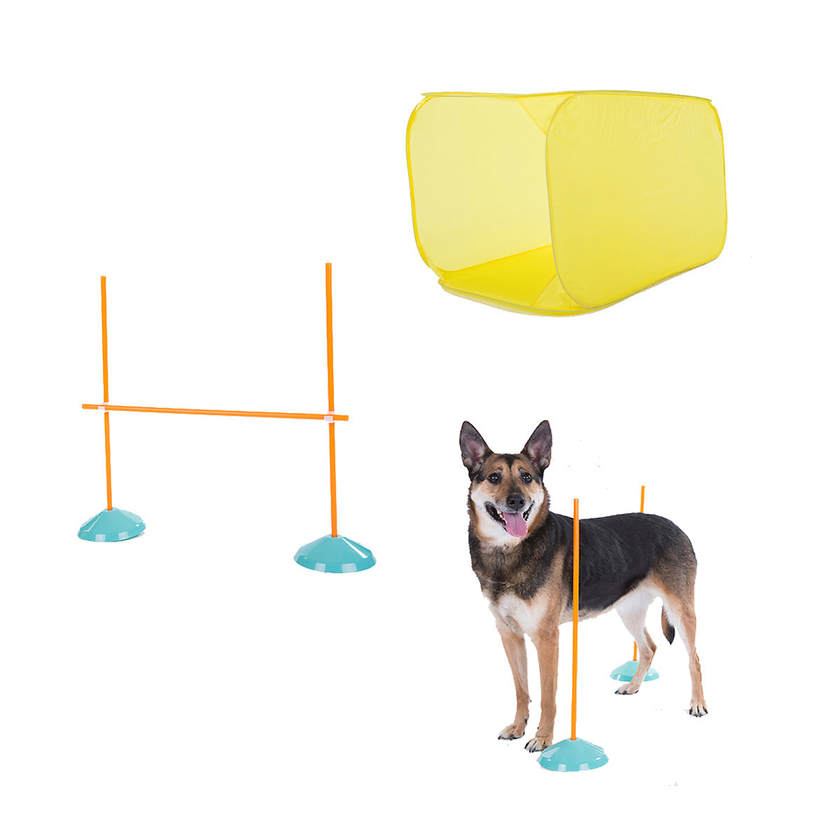 ZipZoom Agility Kit Indoor by Outward Hound Outward Hound