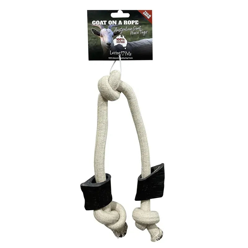 Loving Pets Goat On A Rope  