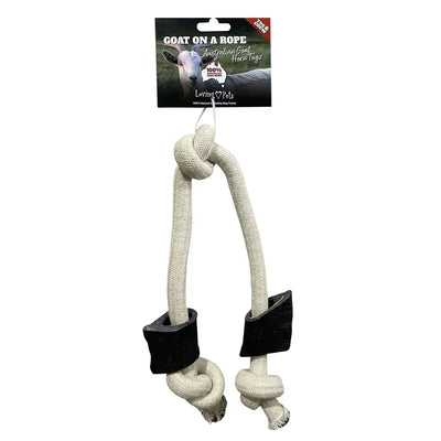 Loving Pets Goat On A Rope  