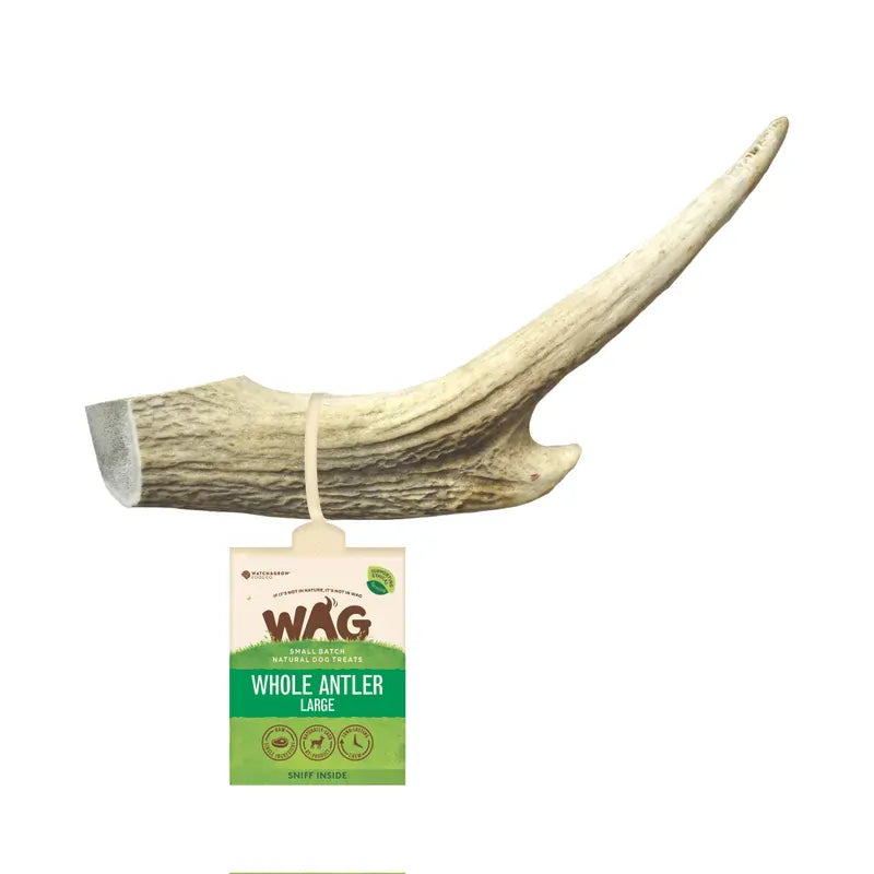Wag Antler Whole Large Wag