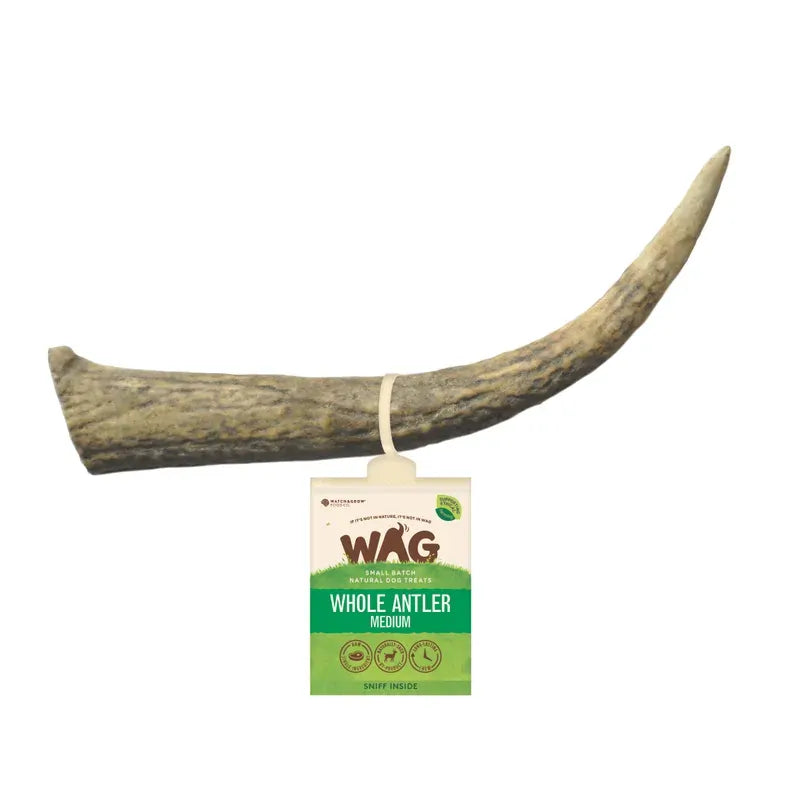 Wag Antler Whole Medium Wag