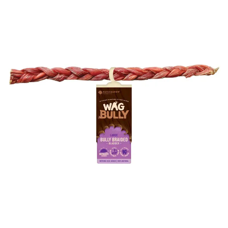 Wag Braided Bully Stick Large Wag