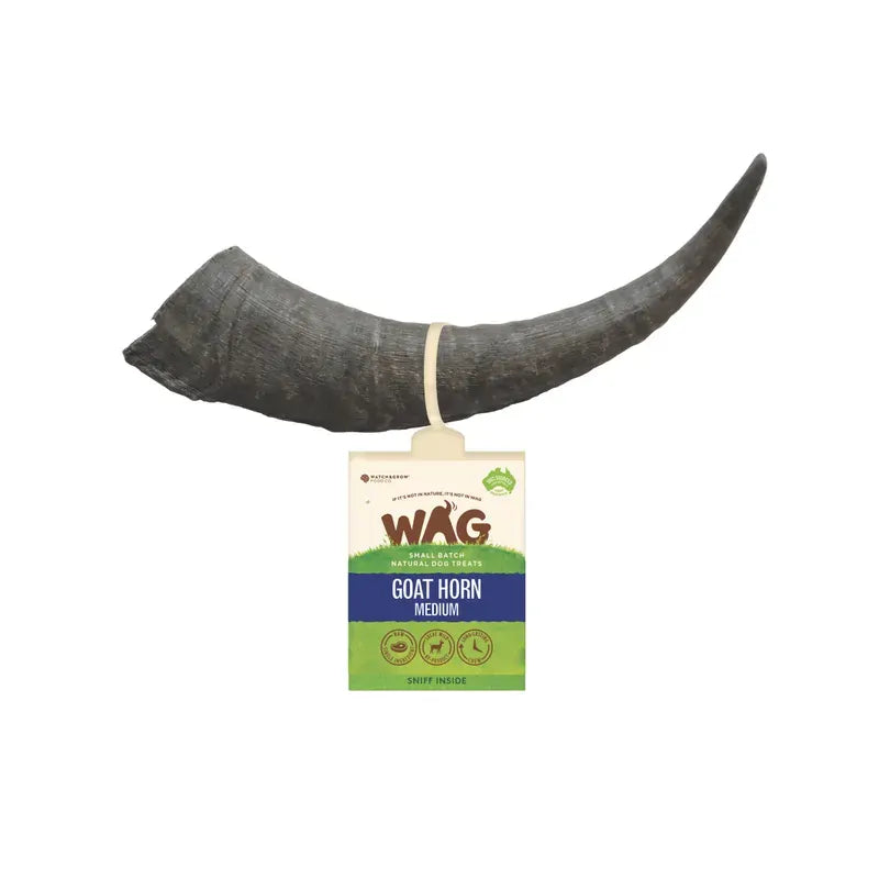 Wag Goat Horn Medium Wag