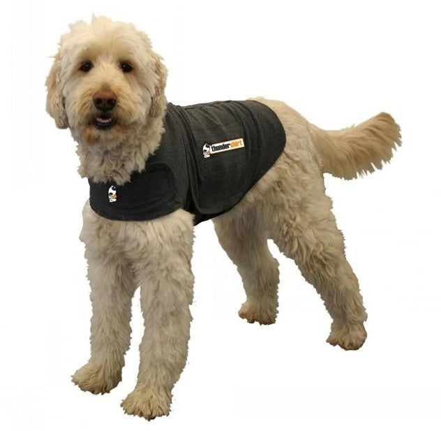 Thundershirt For Dogs [Size: Medium] ThunderShirt