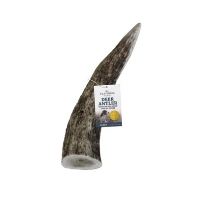 Platinum Ranch Large Deer Antler Single 