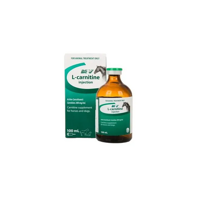 Ceva L-Carnitine 100Ml Ceva