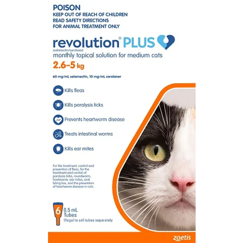 Revolution Cat Plus Medium Cat 6Pk 2.5-5Kg Revolution