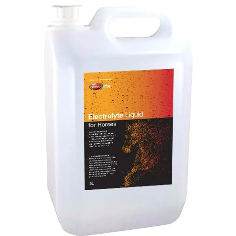 Value Plus Electrolyte Liquid For Horses 5L Value Plus