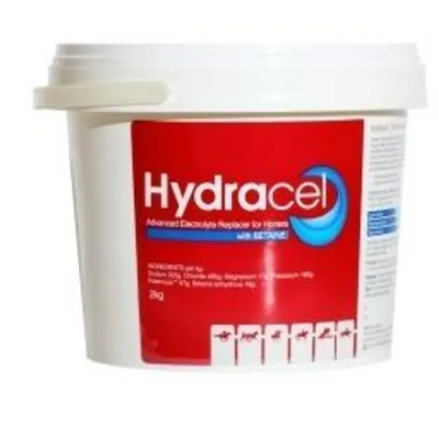 Value Plus Hydracel Electrolyte 2Kg Value Plus