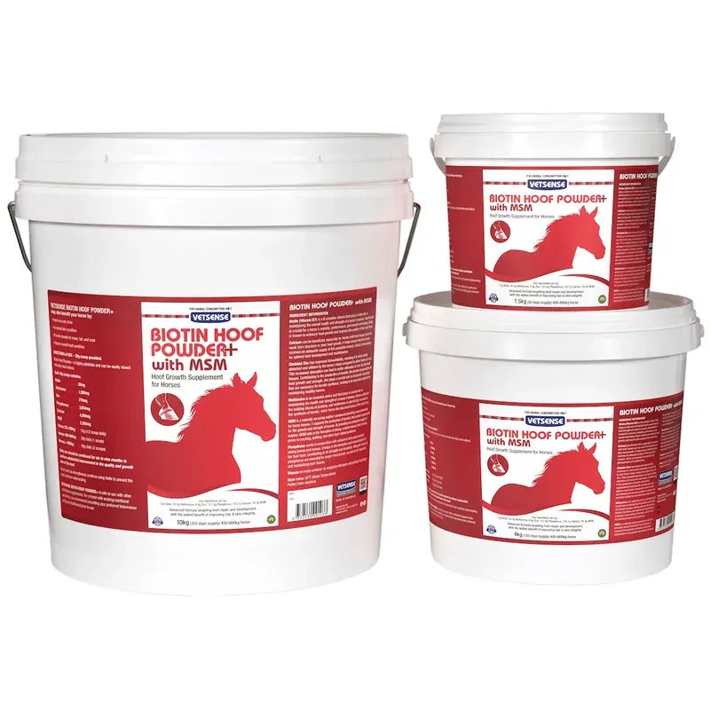 Vetsense Biotin Hoof Powder + Msm 10Kg Vetsense