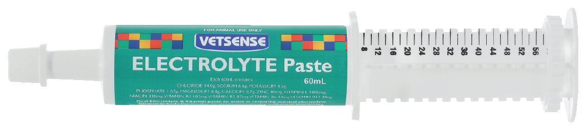 Vetsense Electrolyte Paste Pro 60Ml Vetsense