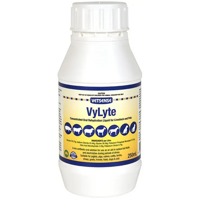 Vetsense Vylyte 250Ml Vetsense