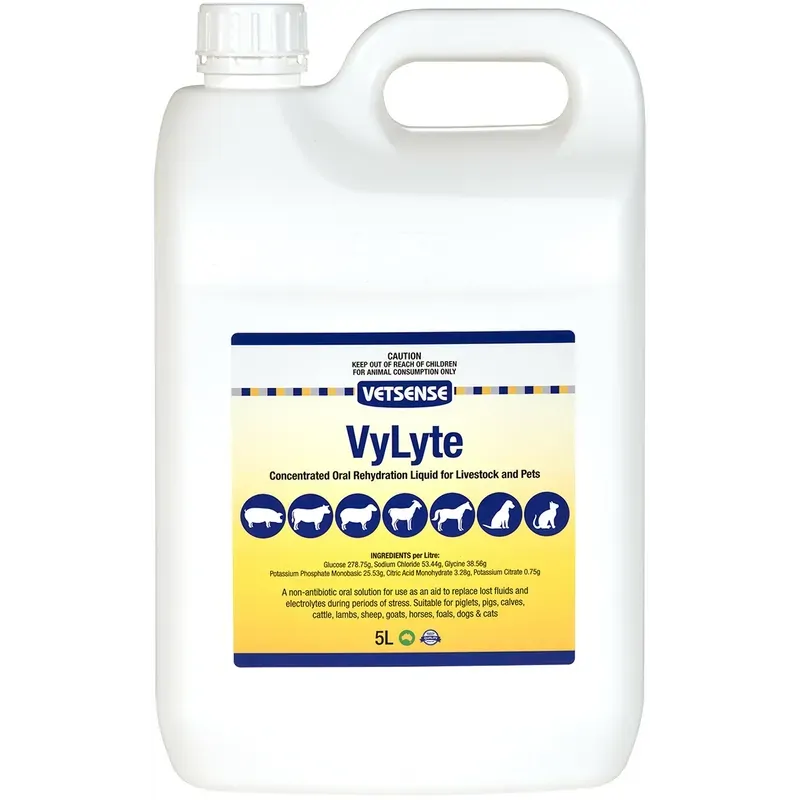 Vetsense Vylyte 5L Vetsense