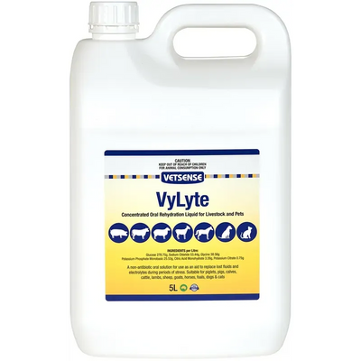 Vetsense Vylyte 5L Vetsense