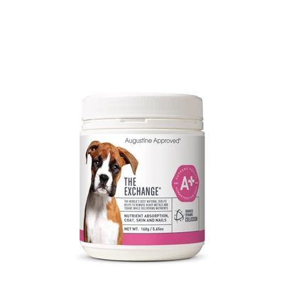 Augustine Approved The Exchange (Canine) 160G Augustine Approved