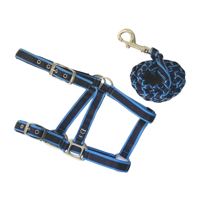 Anipal Pacific Ocean Comfort Halter & Lead Set Cob Anipal