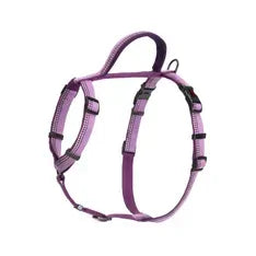 Halti Walking Harness Purple Medium Halti