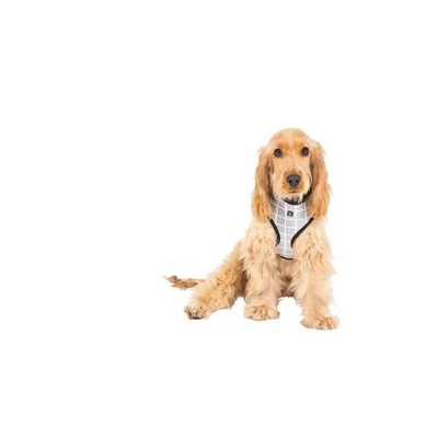 Mog & Bone Neoprene Harness Grey Chk Lge Mog & Bone