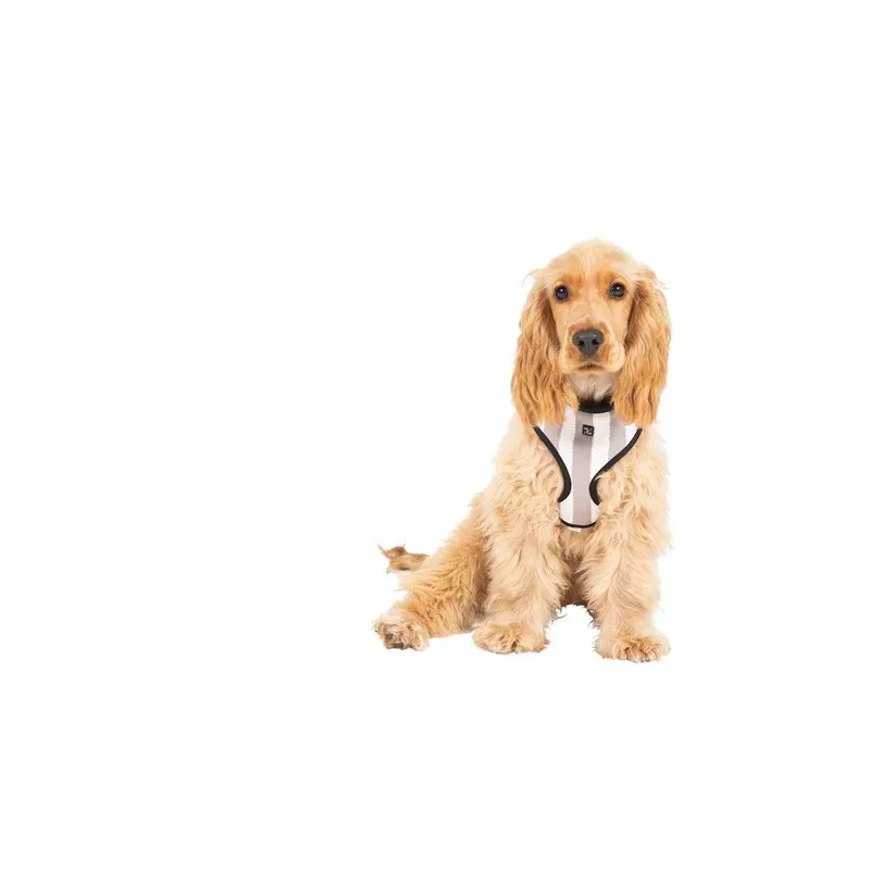 Mog & Bone Neoprene Harness Latte Hamp Stp Xl Mog & Bone