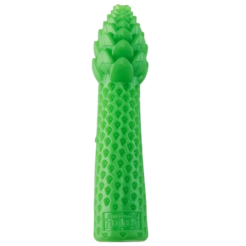 Outward Hound Dental Asparagus Md 