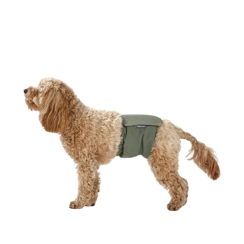 Snooza Washable Dog Nappy Band Male Dogs Steel Size L 2Pk 