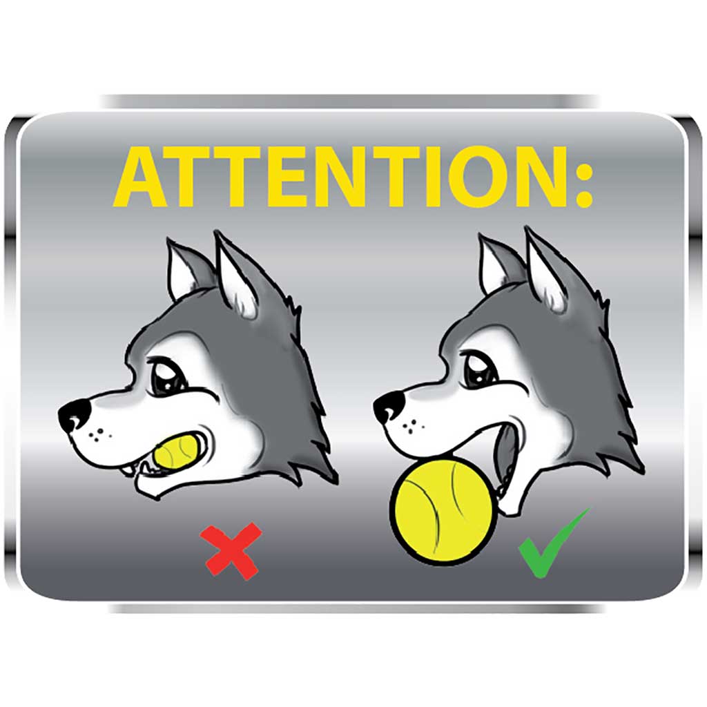 Aussie Dog Tucker Ball Medium Durable Treat Dispenser