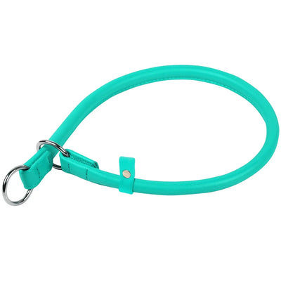 Premium Waudog Leather Slip Dog Collar for Medium Breeds, Durable & Stylish