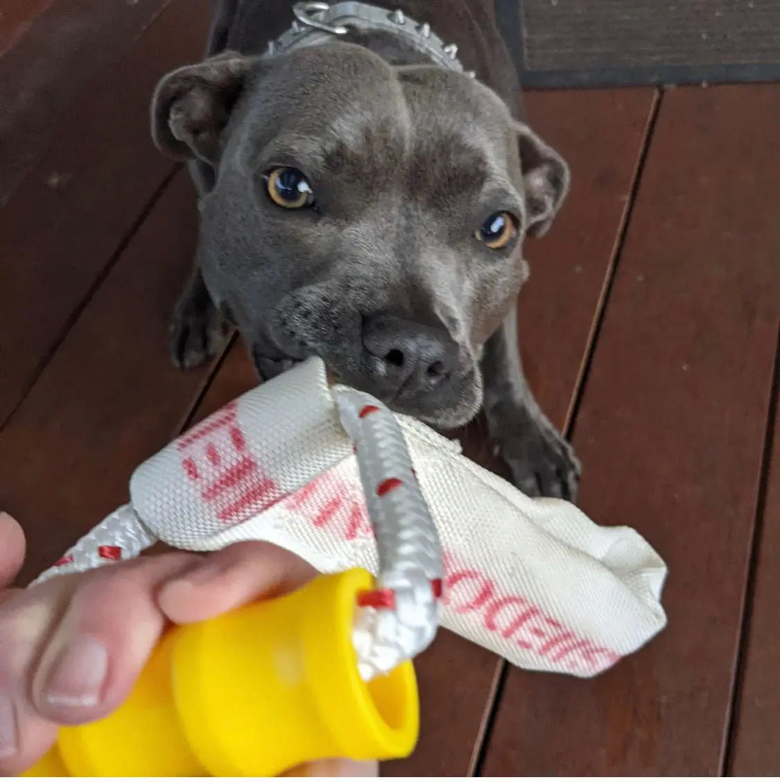 Ultimate Durable Dog Tug Toy for Interactive Play and Training Sessions