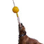 Aussie Dog Home Alone Medium Interactive Toy for Dogs - Durable & Engaging