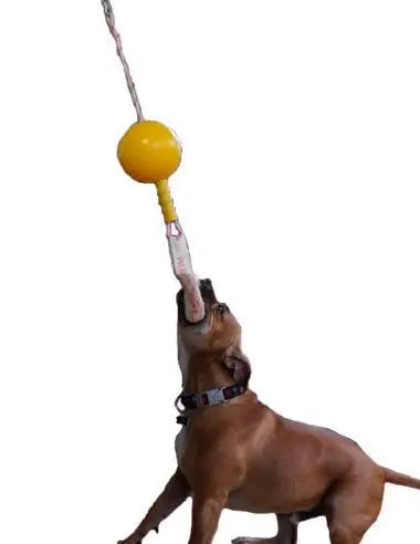 Aussie Dog Home Alone Medium Interactive Toy for Dogs - Durable & Engaging