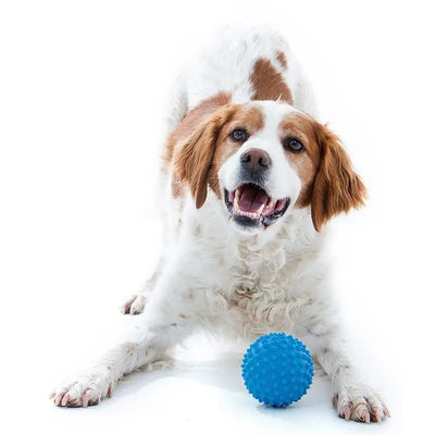Aussie Dog Indestructible Blue Rubber Catch Ball for Active Dogs