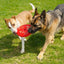 Ultimate Red Dog Flying Disc Toy: Durable, Chew-Resistant, Fun for Fetch