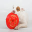 Ultimate Red Dog Flying Disc Toy: Durable, Chew-Resistant, Fun for Fetch