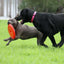Ultimate Red Dog Flying Disc Toy: Durable, Chew-Resistant, Fun for Fetch