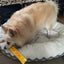 Ultimate Durable Chew Toy for Small Dogs: Interactive Aussie Dog Get-It