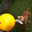 Ultimate Durable Home Alone Dog Toy, Large, for Active Chewers