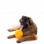 Aussie Dog Large Puppy Pack: Durable Chew Toys for Big Dog Breeds
