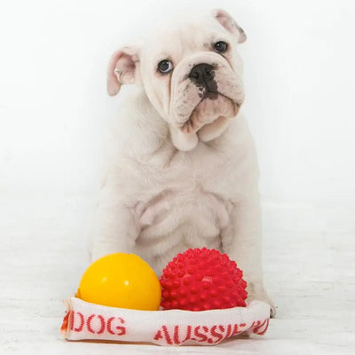 Ultimate Puppy Pack for Medium Dogs: Durable Chew Toys & Training Essentials