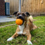 Interactive Treat Dispensing Dog Puzzle Ball for Mental Stimulation and Fun Play