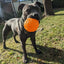 Large Buddy Ball: Durable Treat Dispensing Dog Toy for Engaging Play